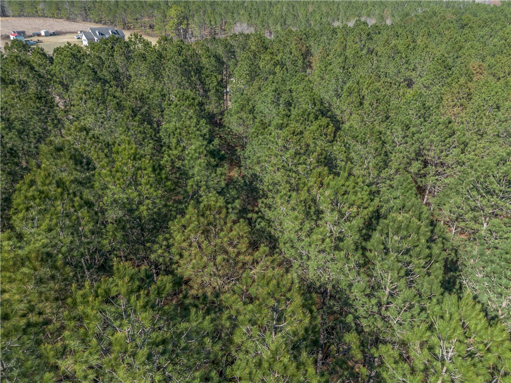 Lot 3 Ben Giddens Road Eastman, GA 31023 - Photo 4 of 9