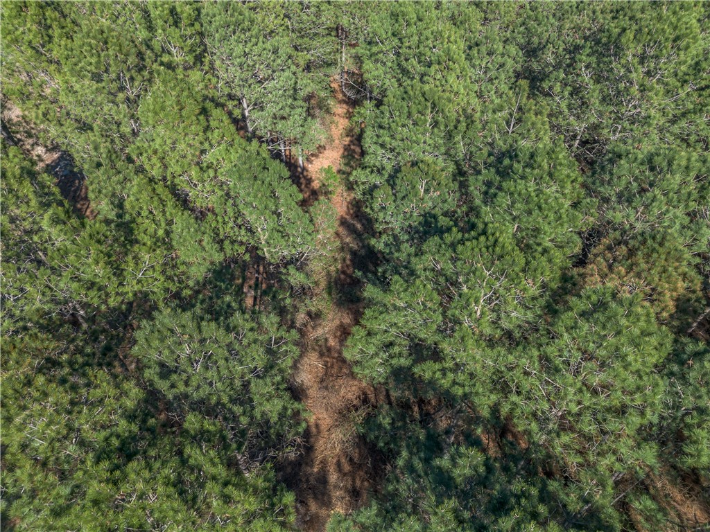 Lot 3 Ben Giddens Road Eastman, GA 31023 - Photo 5 of 9