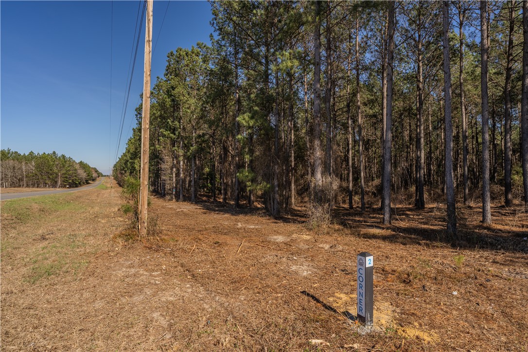 Lot 3 Ben Giddens Road Eastman, GA 31023 - Photo 6 of 9