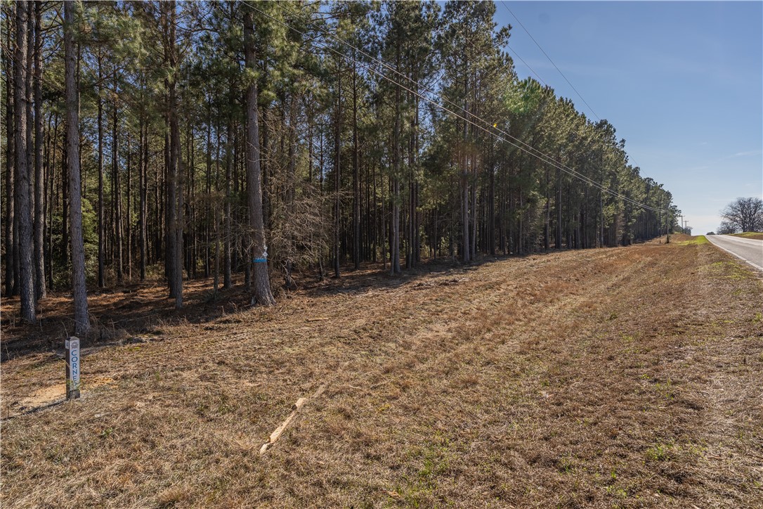 Lot 3 Ben Giddens Road Eastman, GA 31023 - Photo 7 of 9