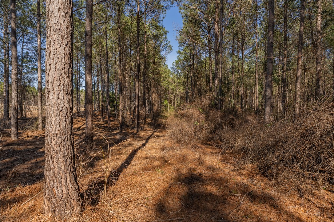 Lot 3 Ben Giddens Road Eastman, GA 31023 - Photo 8 of 9