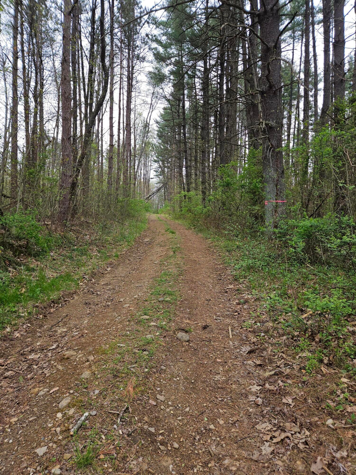 0 Arter Road Southwest Lancaster, OH 43130 - Photo 16 of 18 Maintained Trails Throughout property