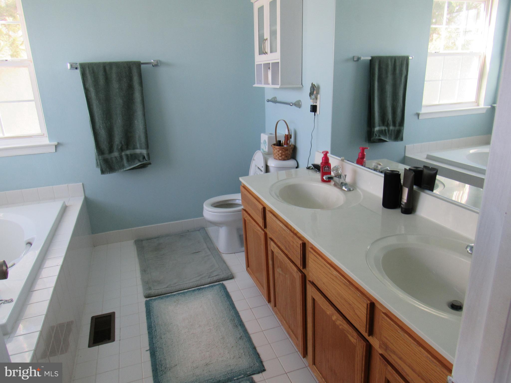 17 Wilt Road Bechtelsville, PA 19505 - Photo 23 of 31 a bathroom with a double vanity sink a toilet and a mirror