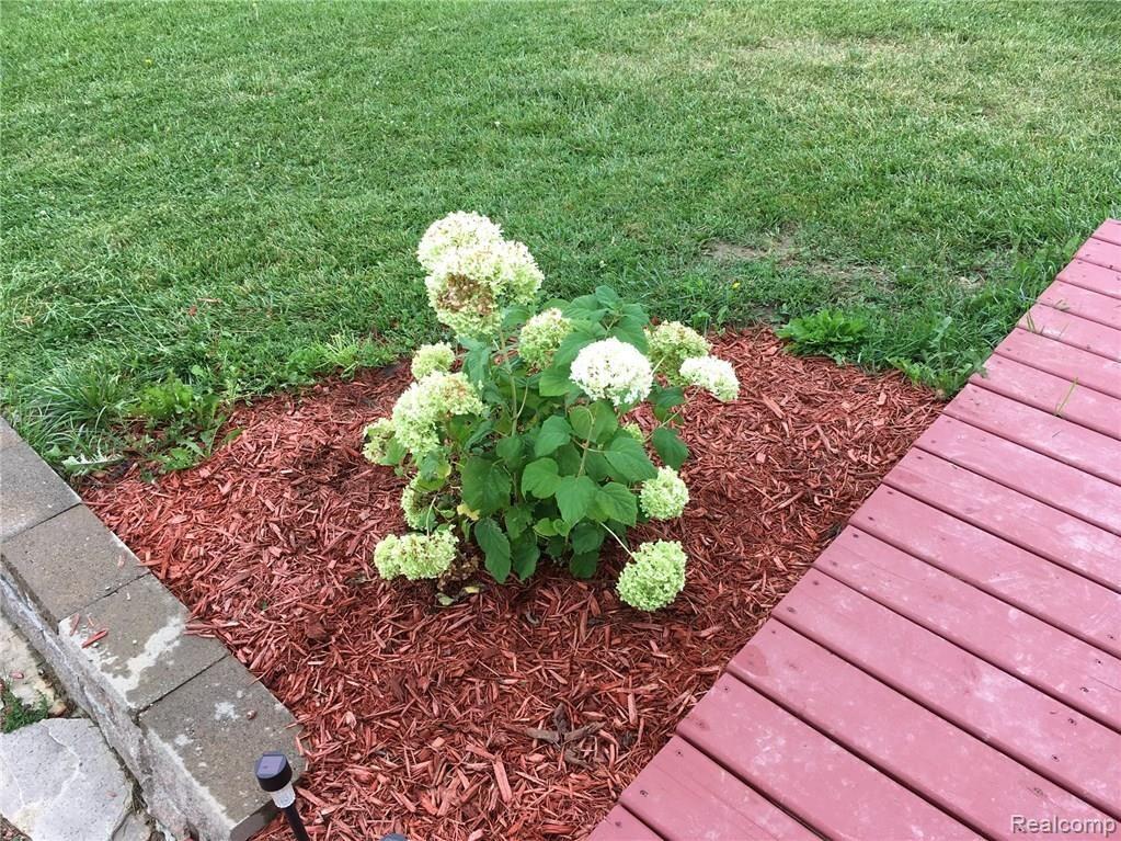 8778 Capac Road Brown City, MI 48416 - Photo 16 of 50 IMG_0015.JPG