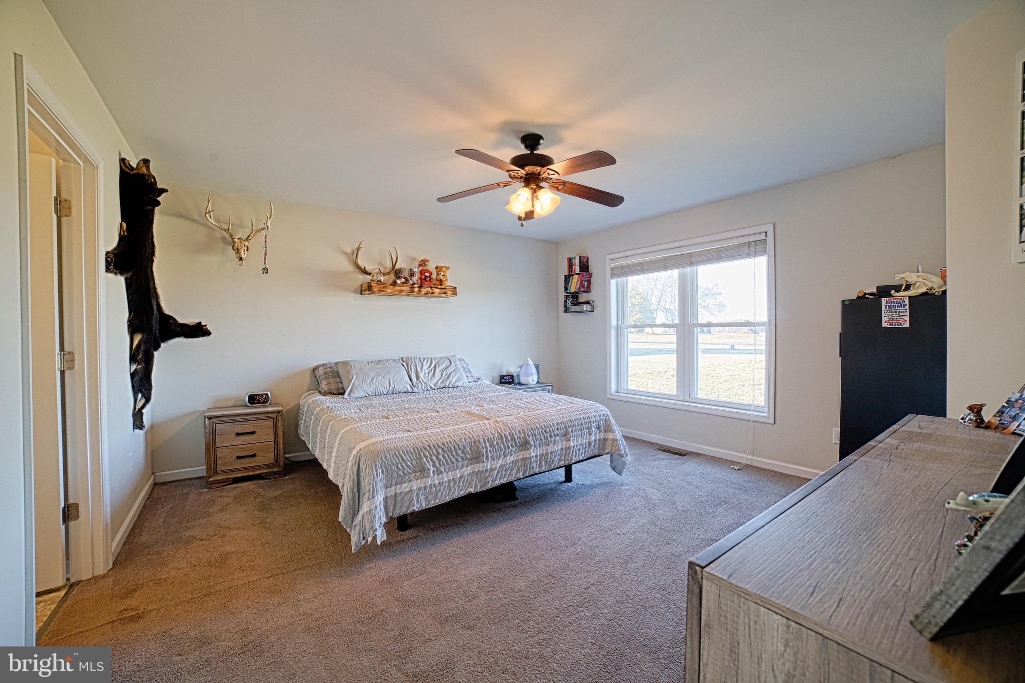 24905 Holsinger Lane Ridgely, MD 21660 - Photo 18 of 59 Gallery Image 18