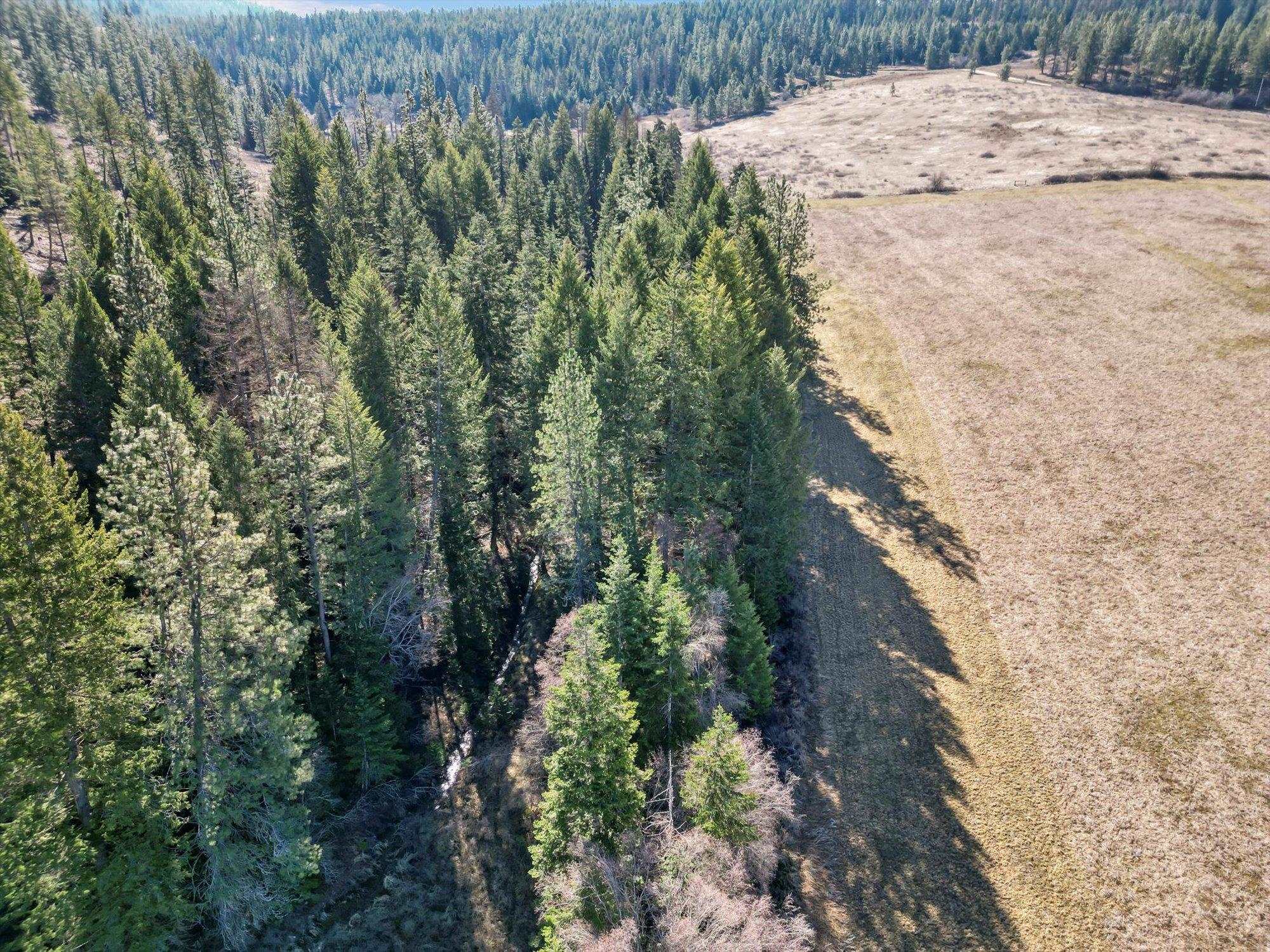 0 Skok Road, Unit LOT 2 Loon Lake, WA 99148 - Photo 25 of 27