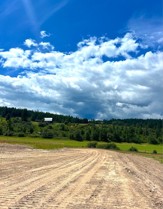 0 Skok Road, Unit LOT 2 Loon Lake, WA 99148 - Photo 6 of 27