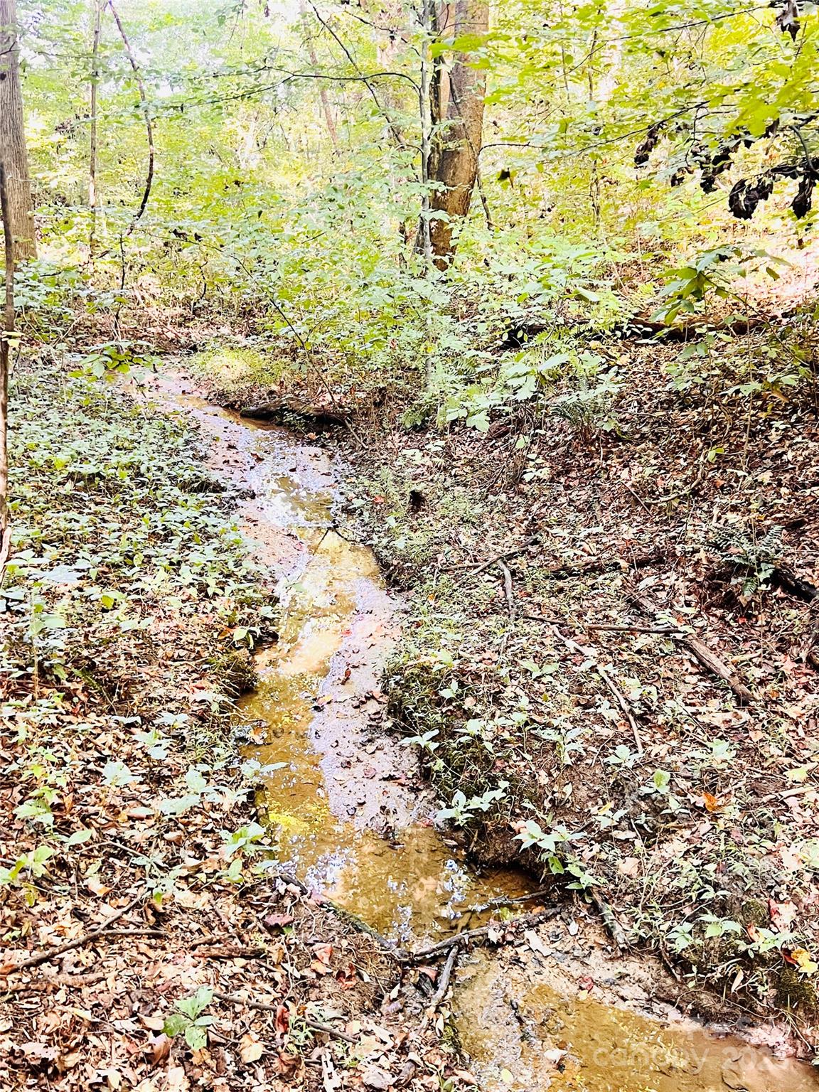 3835 Running Deer Road Jonesville, NC 28642 - Photo 21 of 29