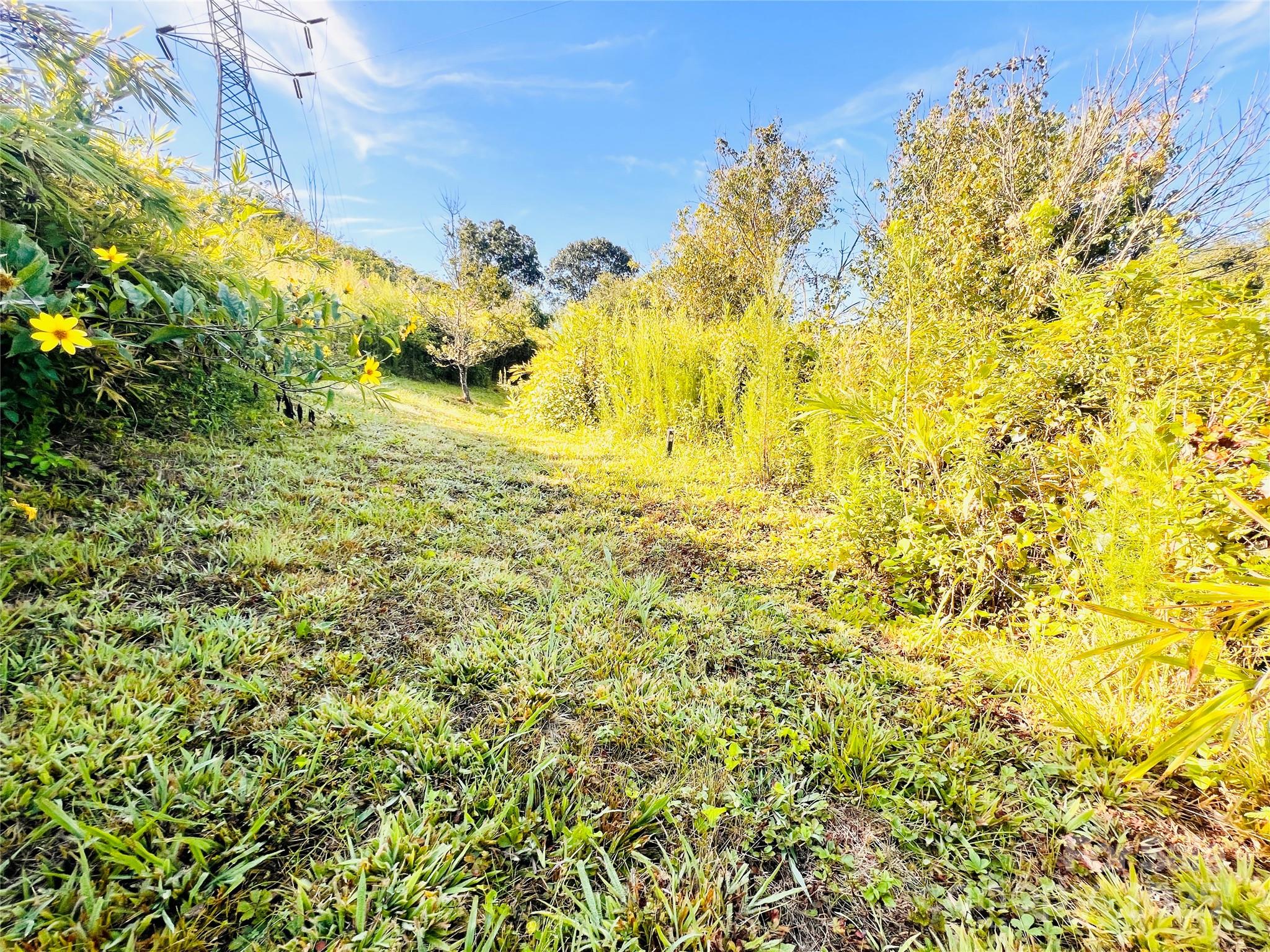 3835 Running Deer Road Jonesville, NC 28642 - Photo 26 of 29