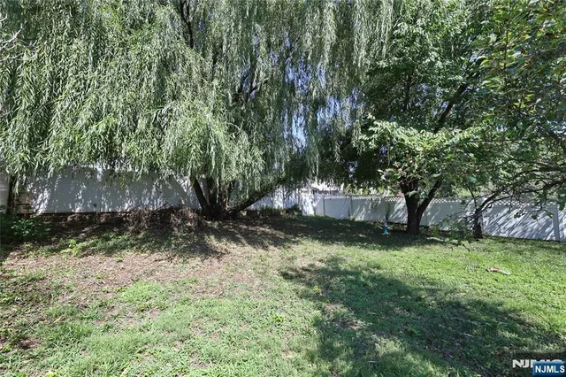 a view of a tree in a yard