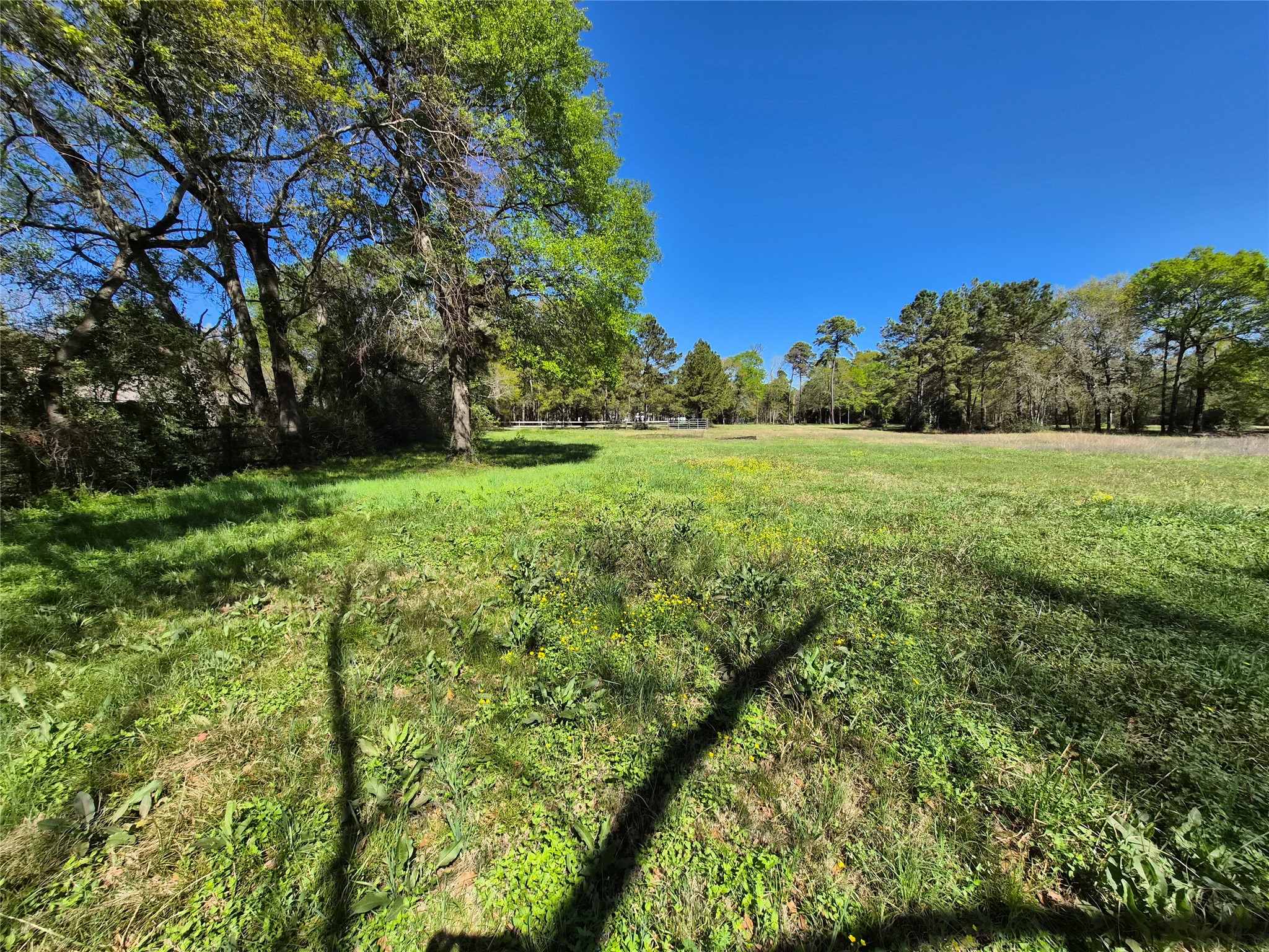 4610 Sloangate Drive Spring, TX 77373 - Photo 24 of 48