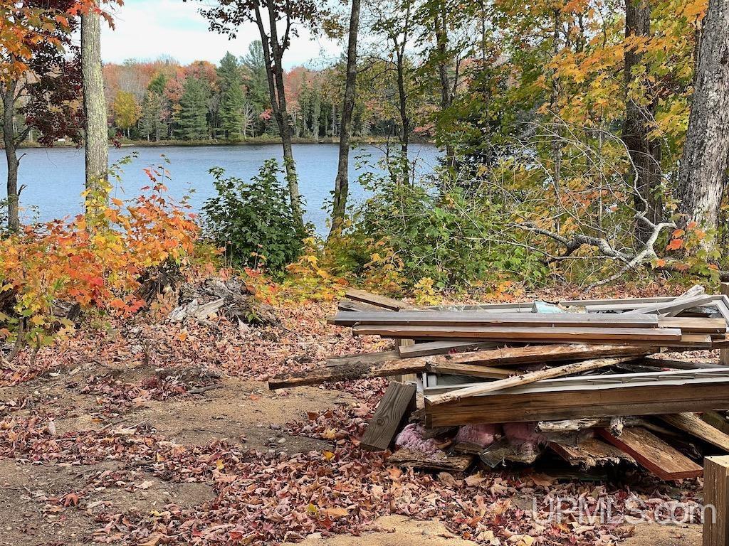 47-13 Carpenter Lake Road Seney, MI 49883 - Photo 9 of 18