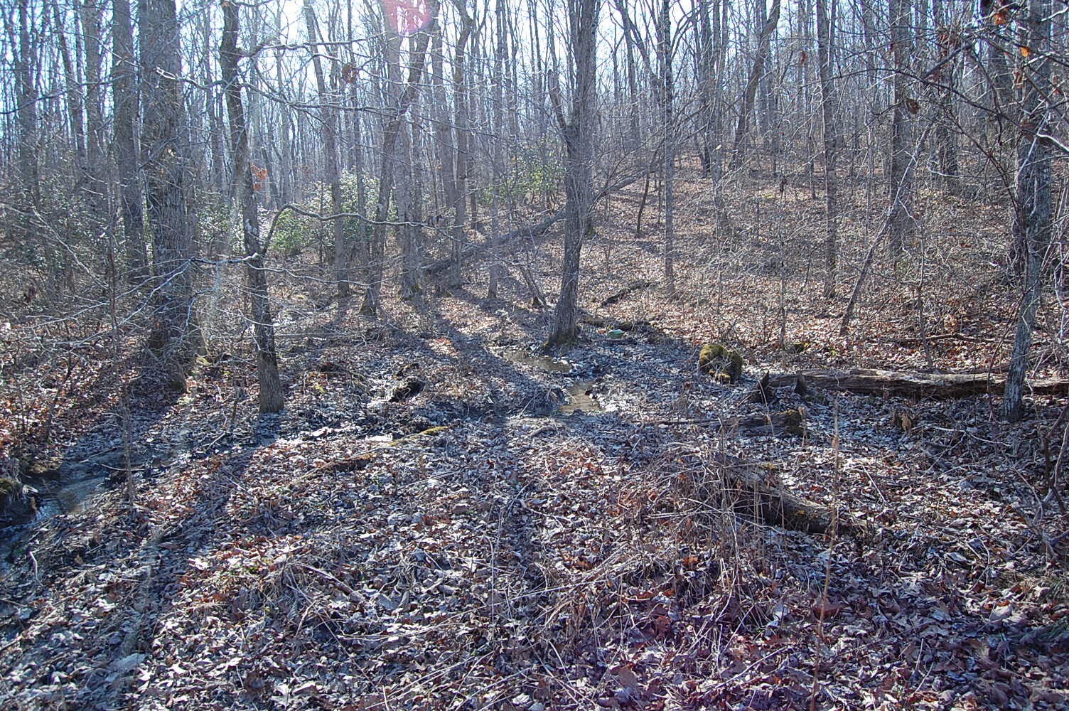 6 Green Forest Road Dunlap, TN 37327 - Photo 10 of 19 Gallery Image 10