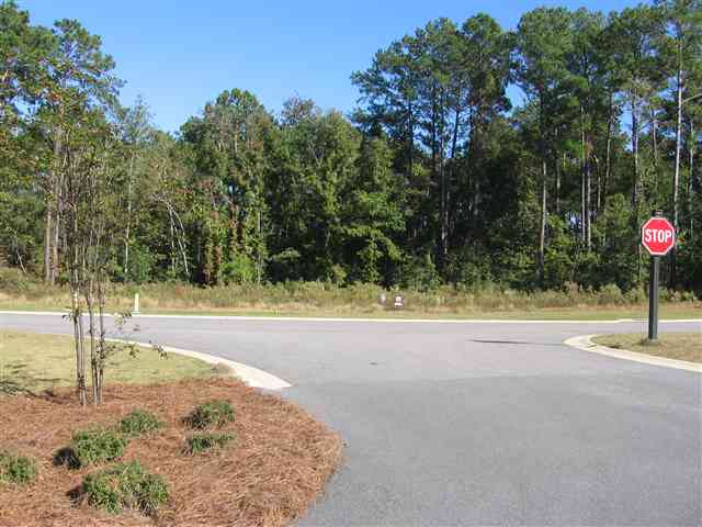 Lot 75 Woody Point Drive Murrells Inlet, SC 29576 - Photo 1 of 7