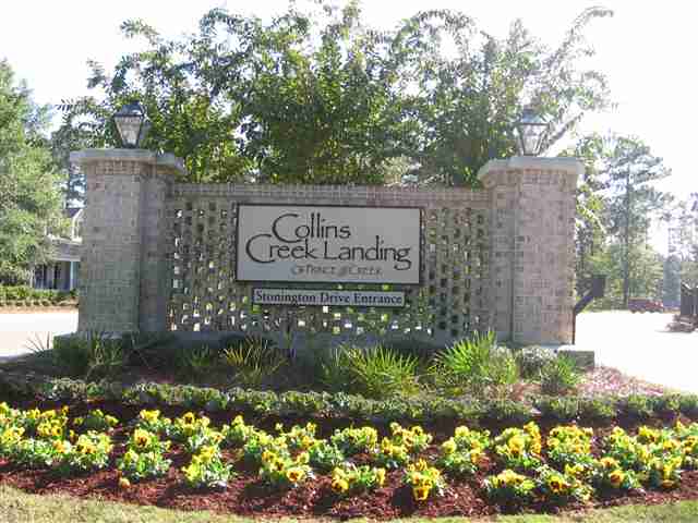 Lot 75 Woody Point Drive Murrells Inlet, SC 29576 - Photo 2 of 7