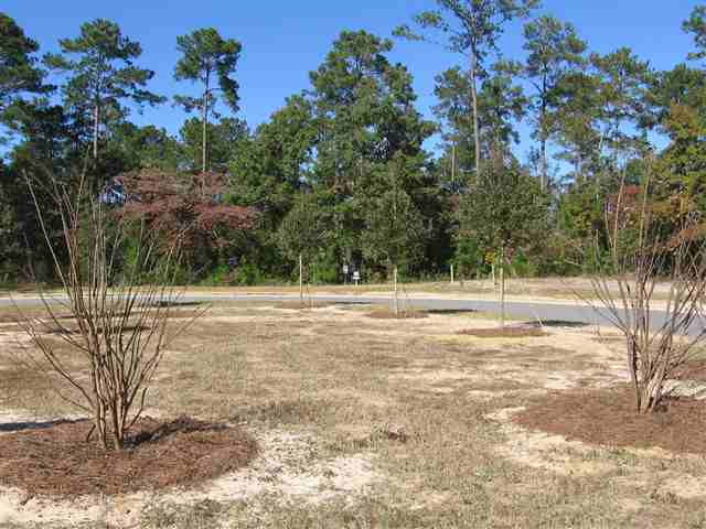 Lot 75 Woody Point Drive Murrells Inlet, SC 29576 - Photo 6 of 7