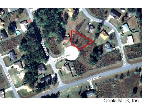 0 Chestnut Run Ocala, FL 34480 - Photo 1 of 1 Primary Photo