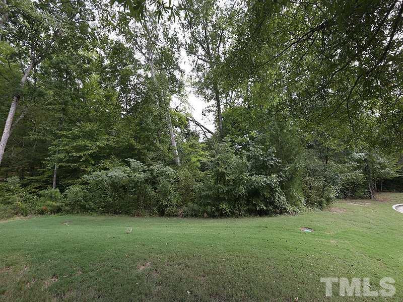 8208 Clasara Circle Raleigh, NC 27613 - Photo 15 of 19 a view of a grassy field with trees in the background