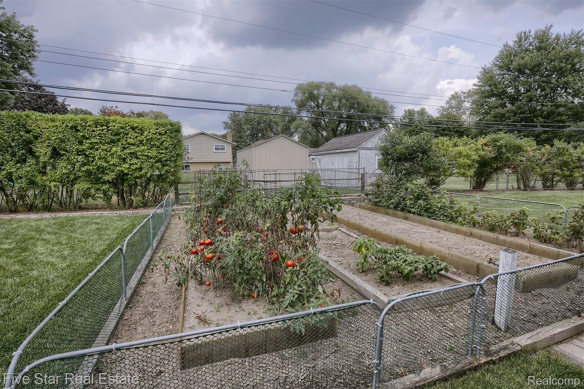 8549 Messmore Road Utica, MI 48317 - Photo 28 of 34 Backyard (14).jpg