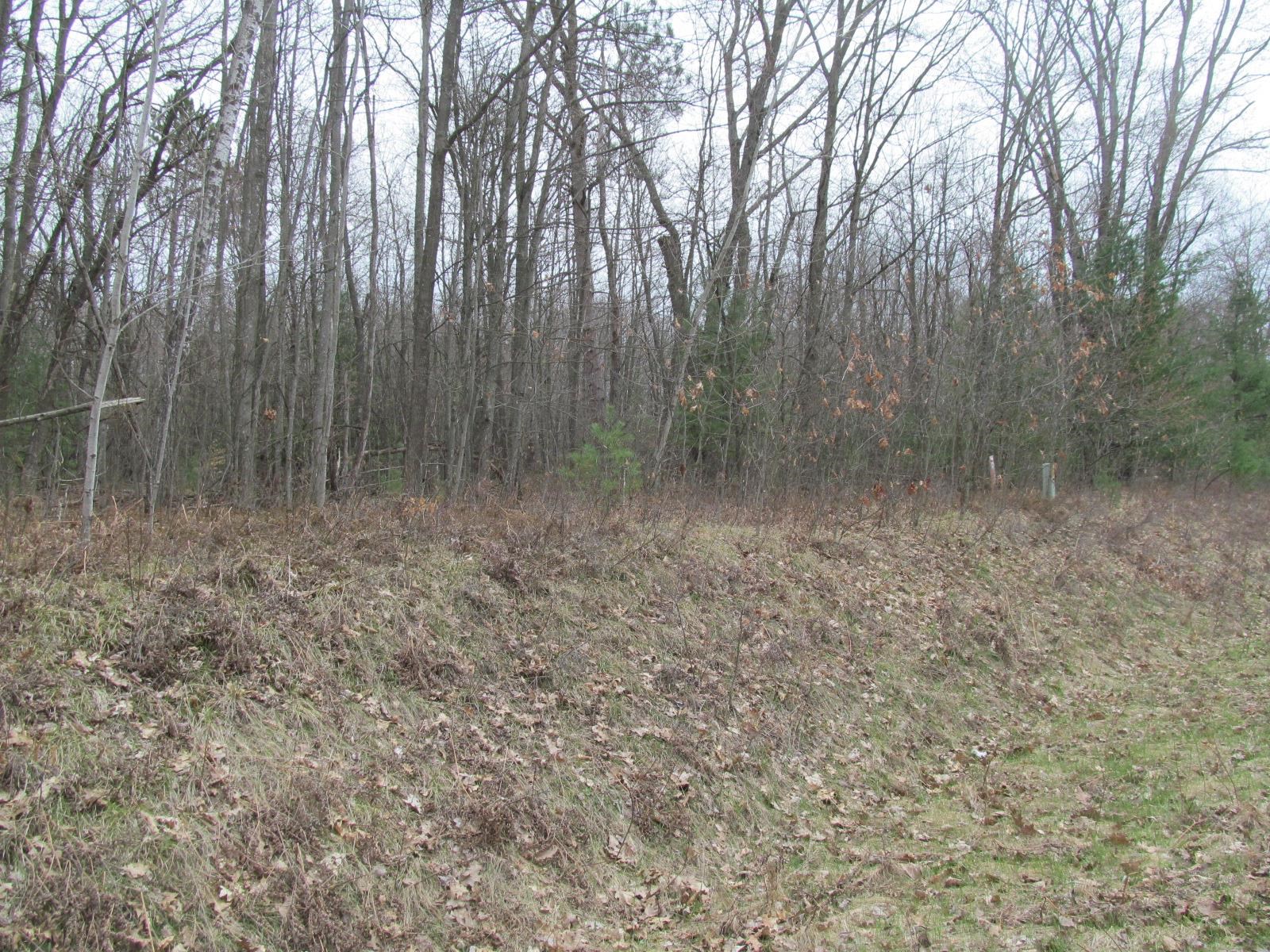 Lot 23 River Wood Road, Unit RIVER WOODS ESTATES #2 LO Lake City, MI 49651 - Photo 3 of 6