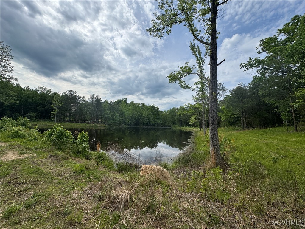 0 Rock Castle Road Goochland, VA 23063 - Photo 23 of 28 Gallery Image 23