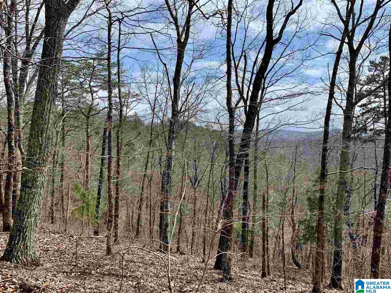 8791 Pine Mountain Road, Unit 40 Pinson, AL 35126 - Photo 3 of 3