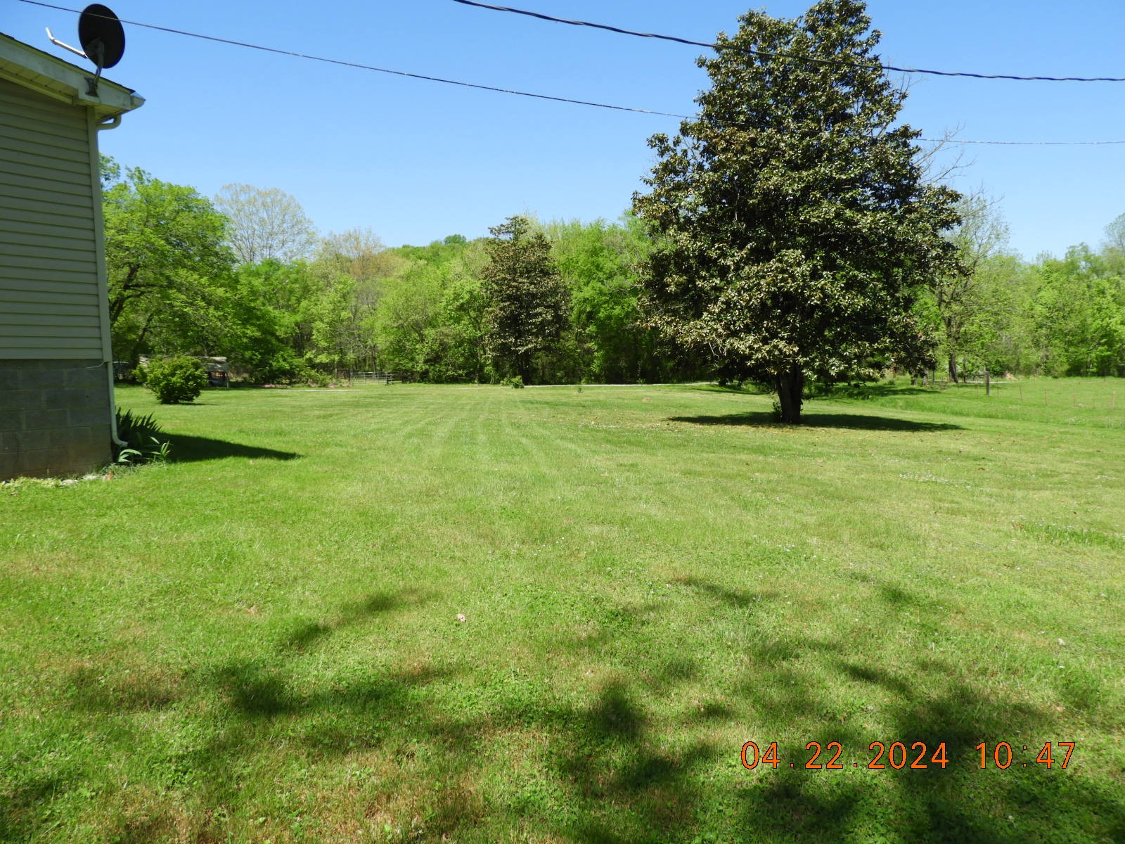 2115 Donahue Road Pulaski, TN 38478 - Photo 19 of 52