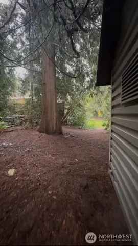 a view of a yard with wooden fence