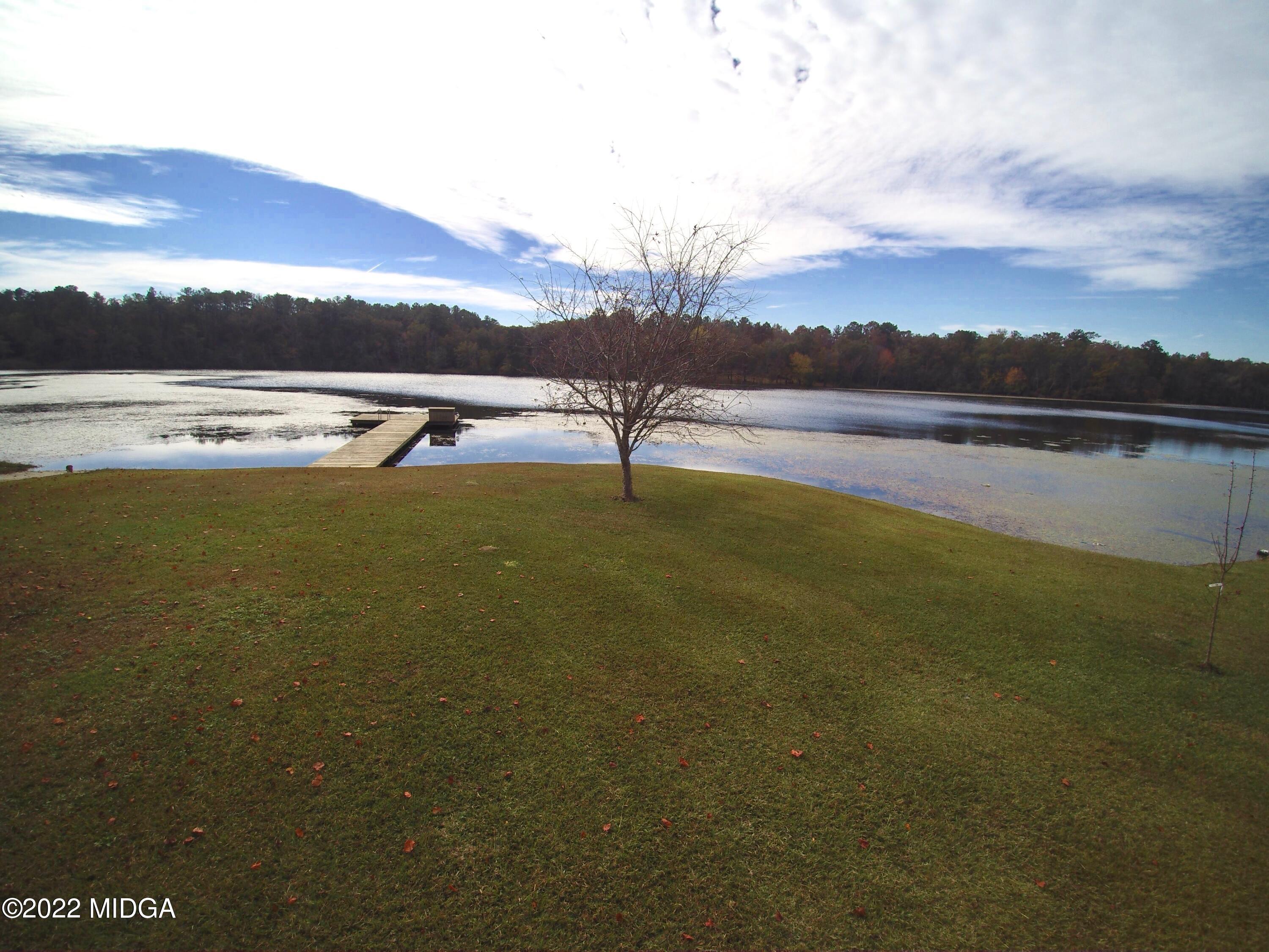 436 Barrow Road Reynolds, GA 31076 - Photo 84 of 91 a view of a lake with a mountain