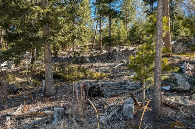 a backyard of a house with lots of trees