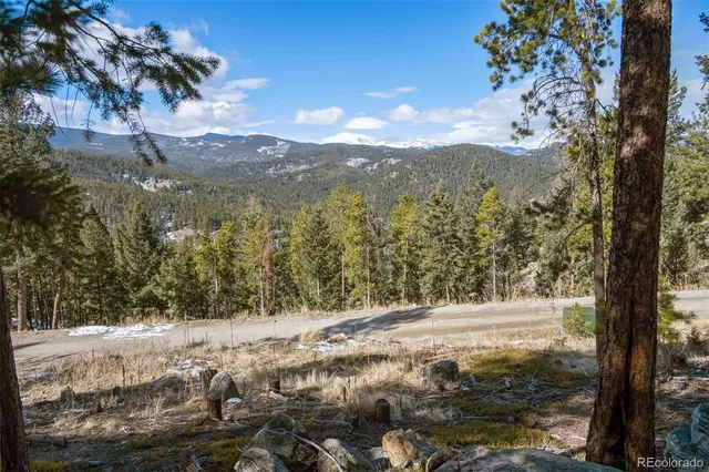 a view of a yard with a tree