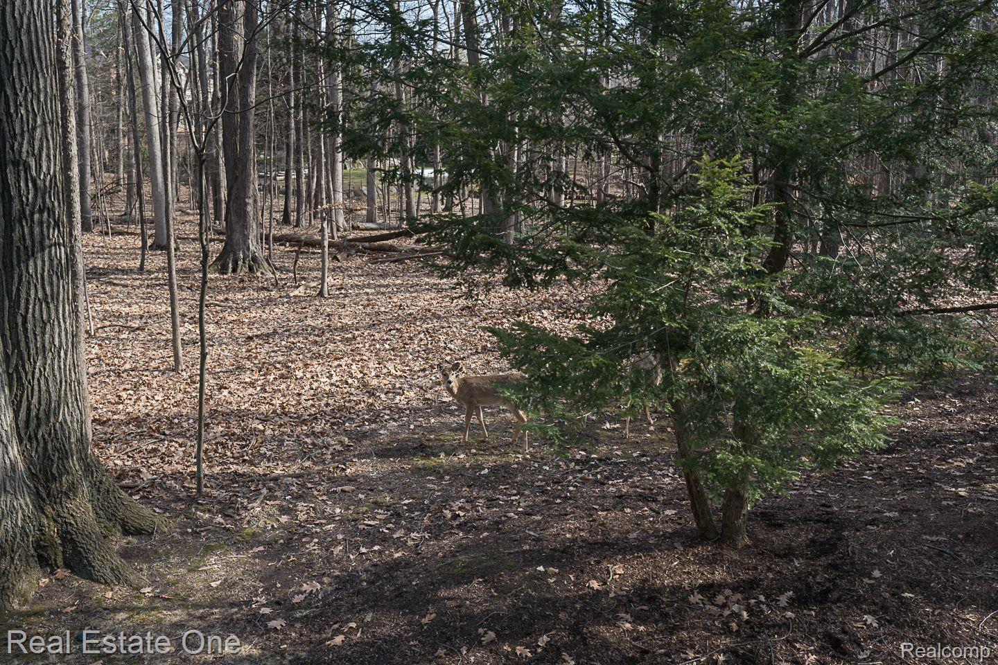 1926 Brookfield Road Rochester, MI 48306 - Photo 67 of 70 Gallery Image 67