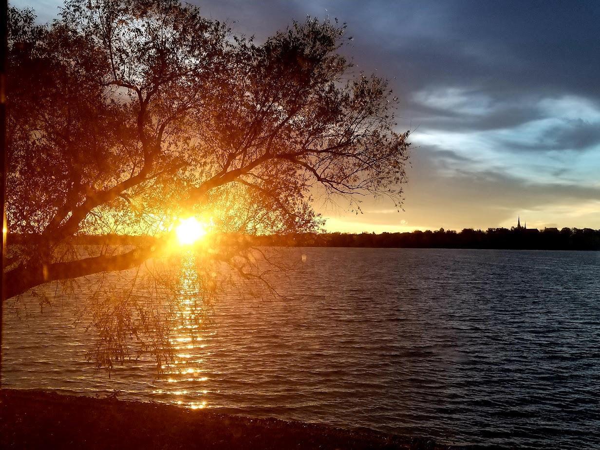 1701 North Shore Drive Waverly, MN 55390 - Photo 35 of 37