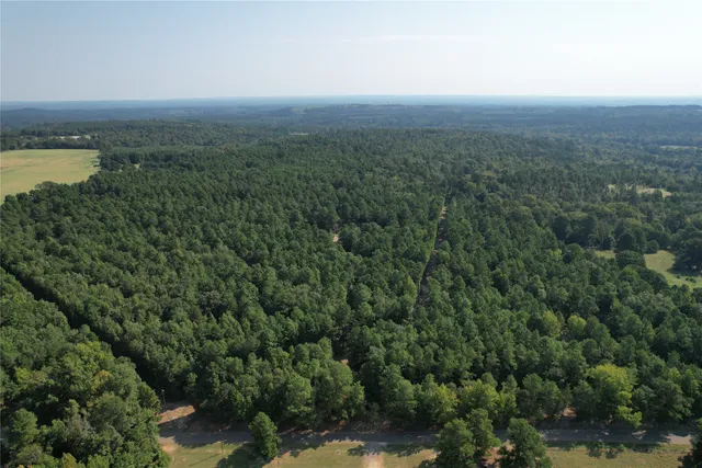 $867,617 | 1220 County Road 1220, Grapeland, TX 75844