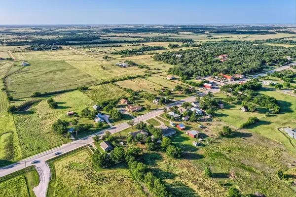 a view of a bunch of plants and flowers