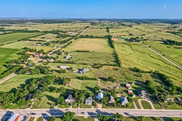 a view of a garden with plants