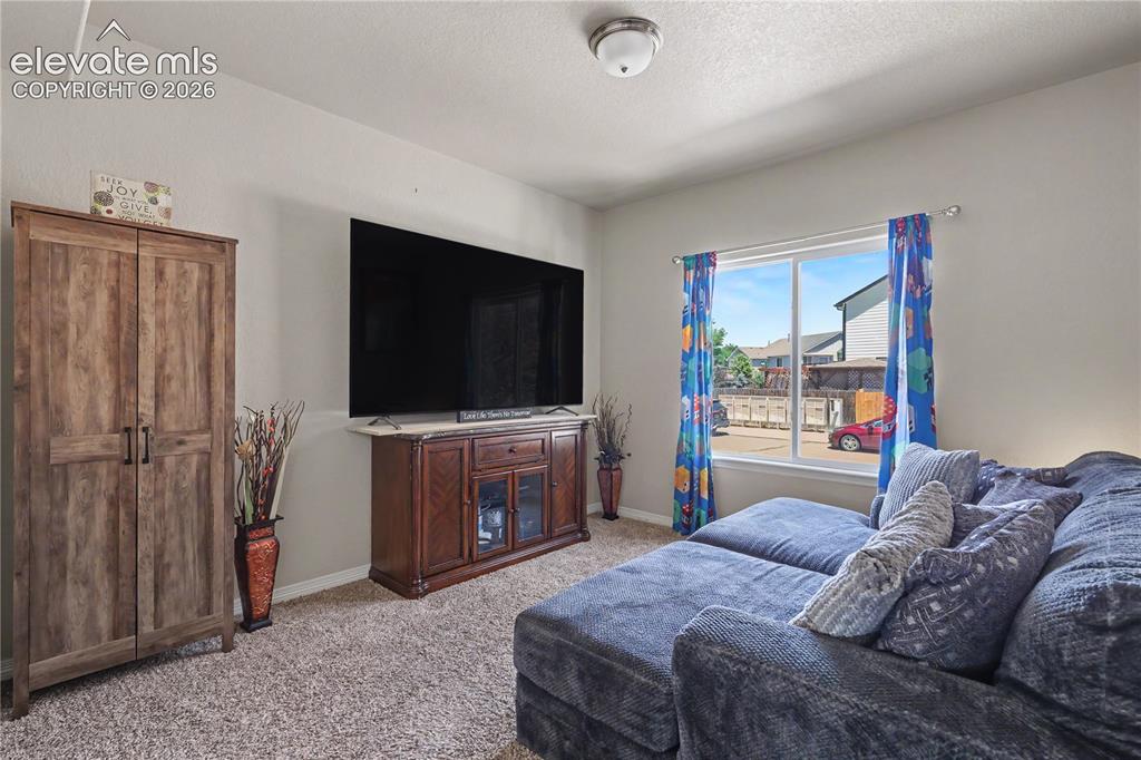 6598 Alliance Loop Colorado Springs, CO 80925 - Photo 21 of 39 Carpeted living area featuring a large window, neutral wall paint, and a built-in media console