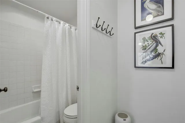a bathroom with a shower and a toilet