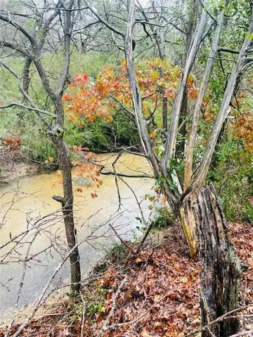 a view of yard with large trees