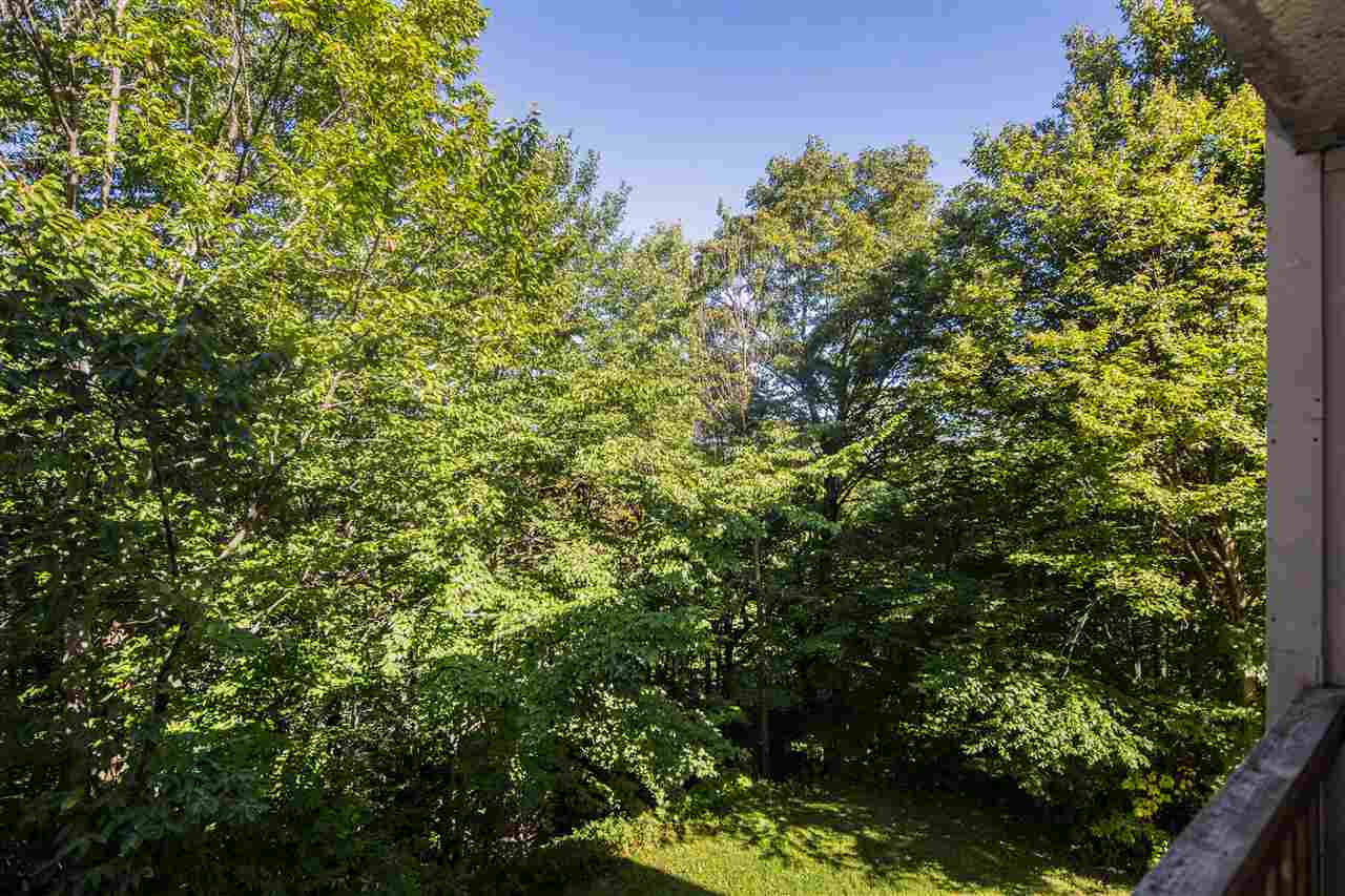 697 East Mountain Road, Unit WHIFFLETREE C5 Killington, VT 05751 - Photo 9 of 21 Gallery Image 9