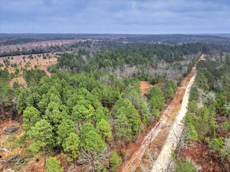 112 Kings Way Monetta, SC 29105 - Photo 11 of 14 a view of a forest with a lake