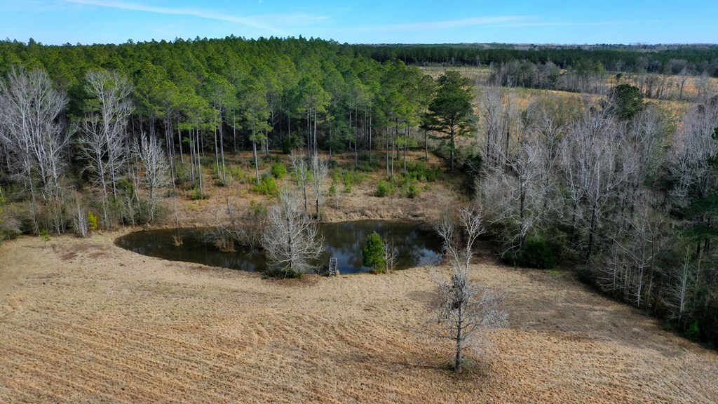 3662 Glen Chambers Road Florala, AL 36442 - Photo 31 of 48