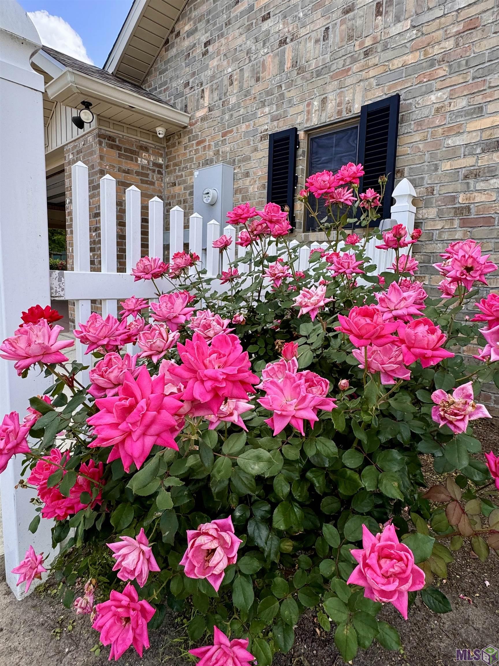 227 Jeffery Street Patterson, LA 70392 - Photo 39 of 50