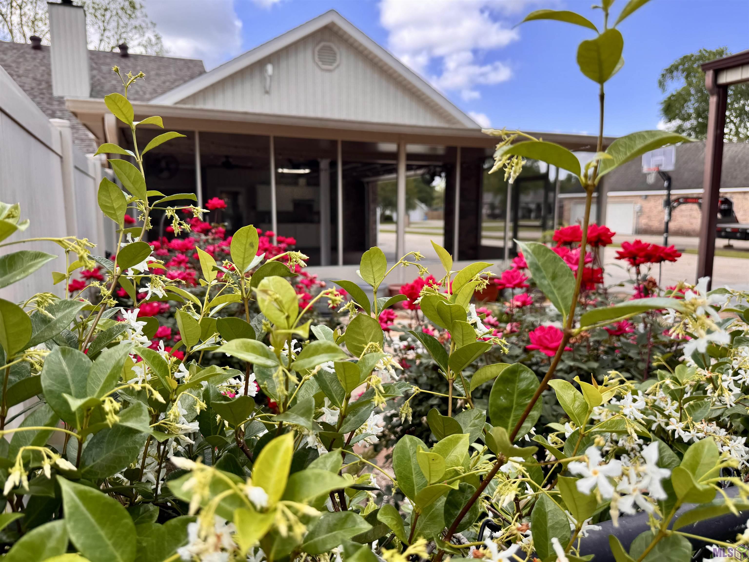 227 Jeffery Street Patterson, LA 70392 - Photo 41 of 50