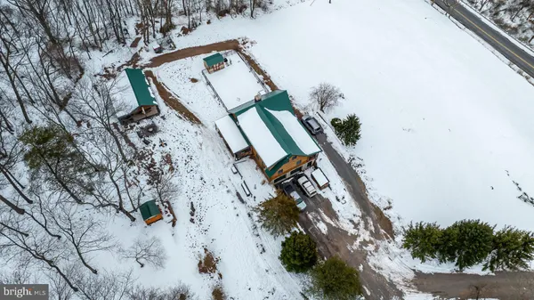 a view of a tree in a backyard