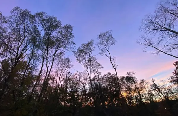 $379,000 | 23 Randolph Place, Unit 204, Northampton, MA 01060