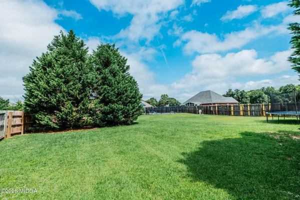 a view of a big yard with plants and large trees