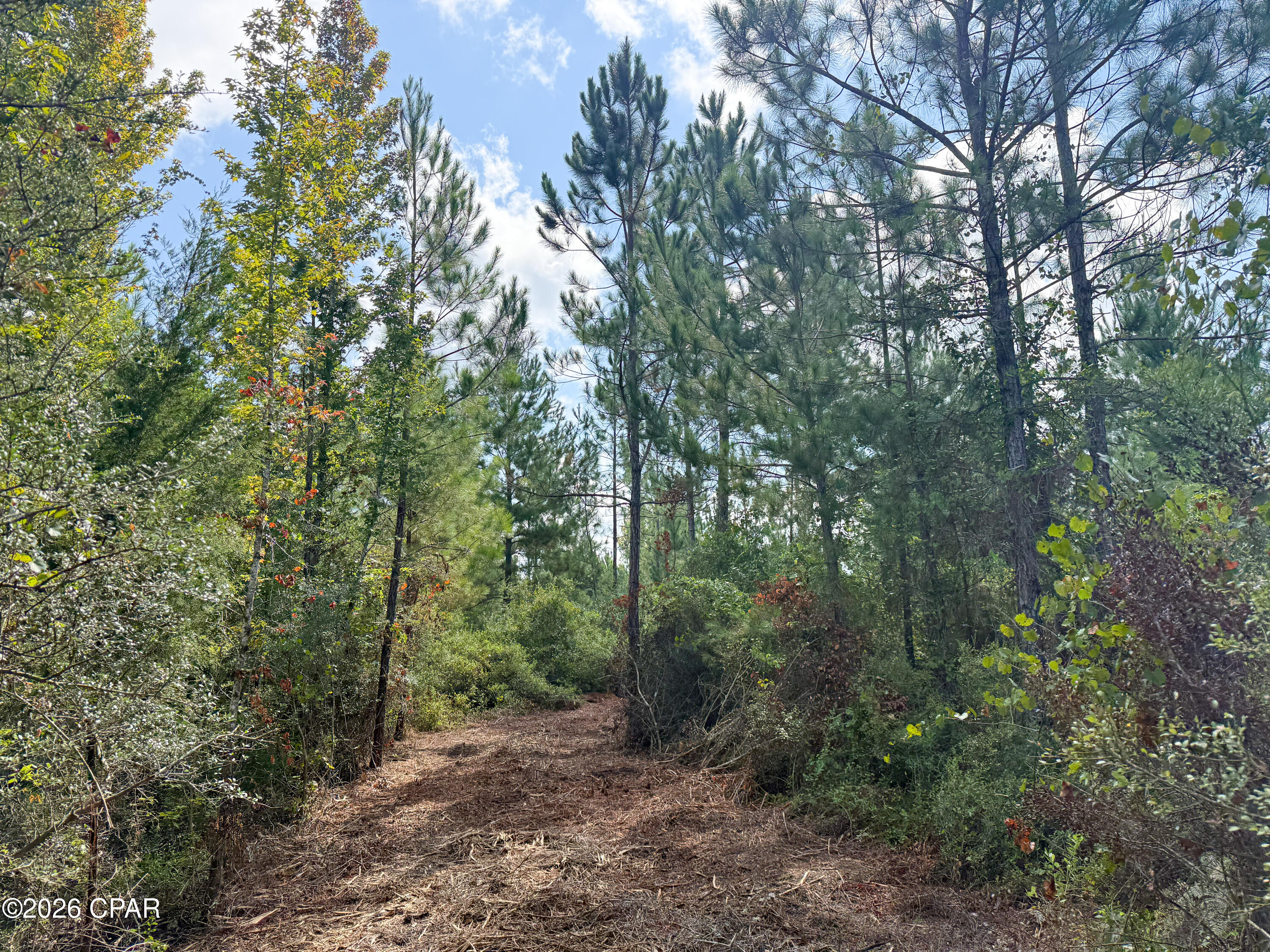 2 Douglas Ferry Road Bonifay, FL 32425 - Photo 21 of 24 Gallery Image 21
