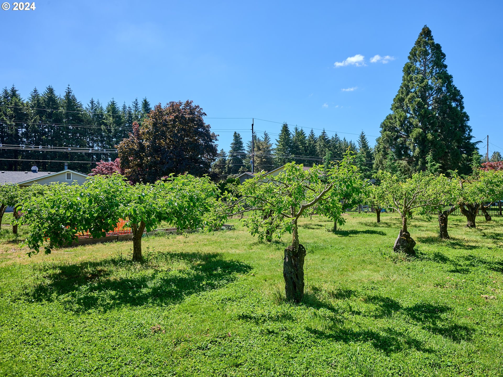 16795 Butteville Road Northeast Woodburn, OR 97071 - Photo 41 of 46 Gallery Image 41