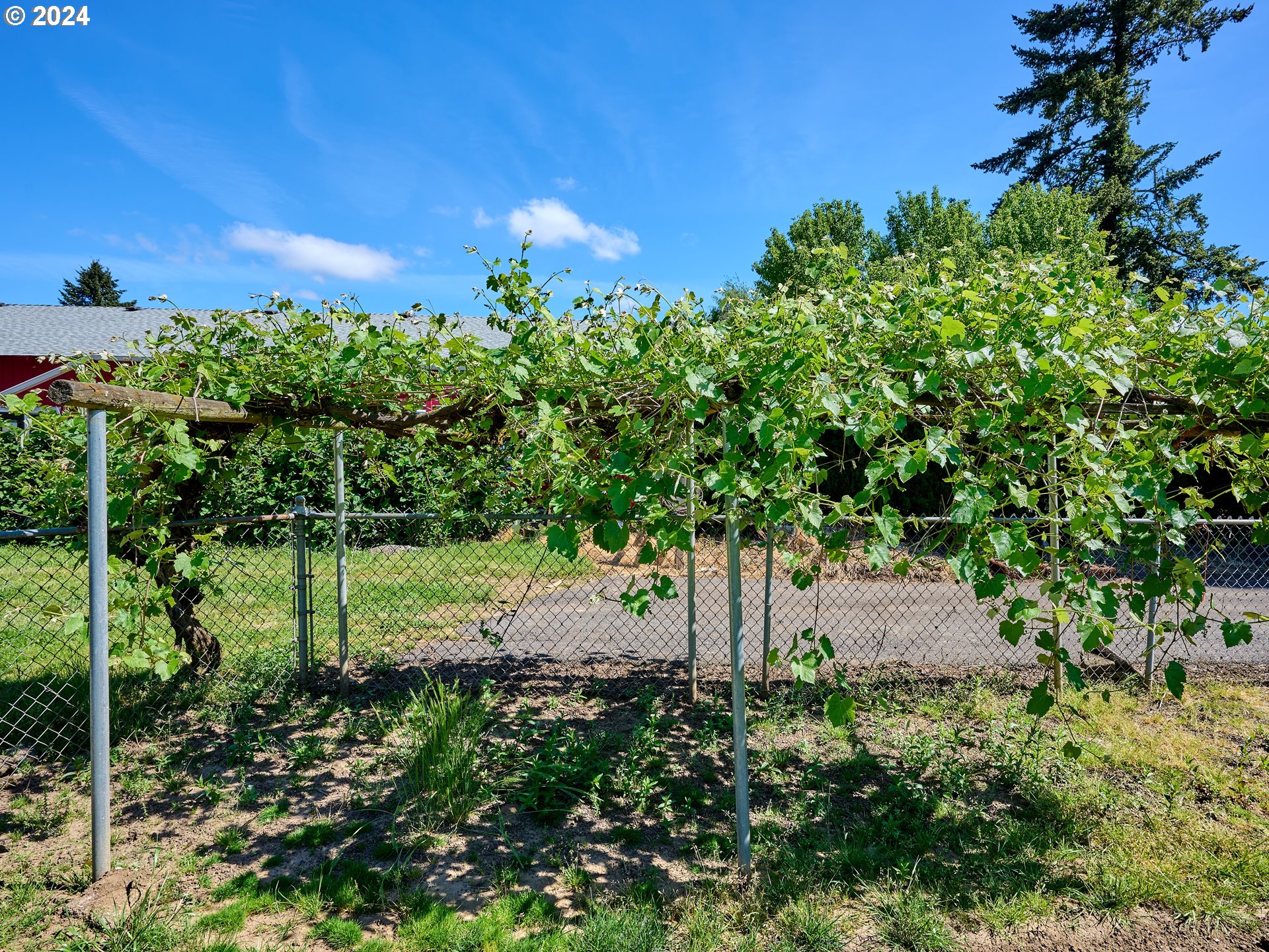 16795 Butteville Road Northeast Woodburn, OR 97071 - Photo 42 of 46 Gallery Image 42